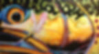 Timmy The Trout