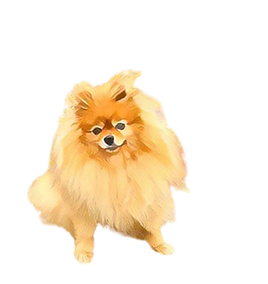 Dog, Cartoon version