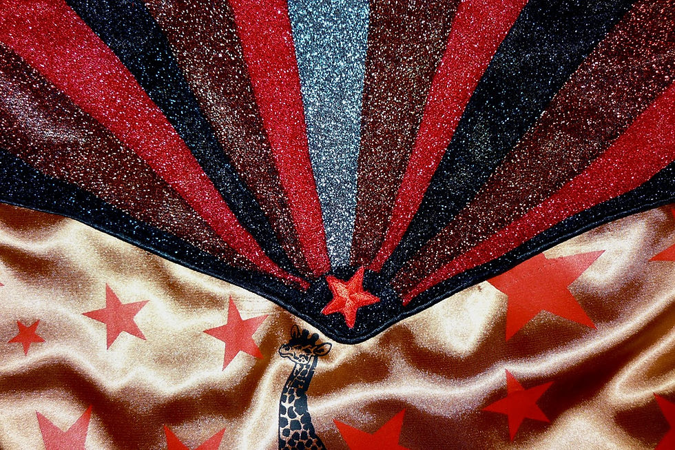 Thumbnail: R&R Circus Safari Western Satin Shirt