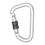 Thumbnail: Aluminium Screw Locking Karabiner