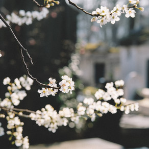 2019年3月のクラスのご案内