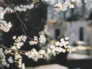 Here’s Exactly How To Transition From Winter To Spring Skincare