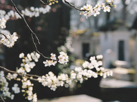 January and February Events