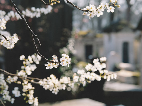 Here’s Exactly How To Transition From Winter To Spring Skincare