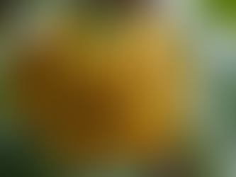 The Power of Small Donations: Why Bananas Matter