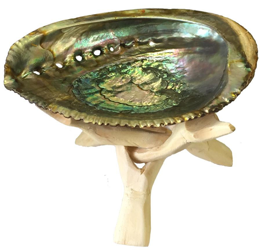 Thumbnail: Abalone shell ash tray and combo