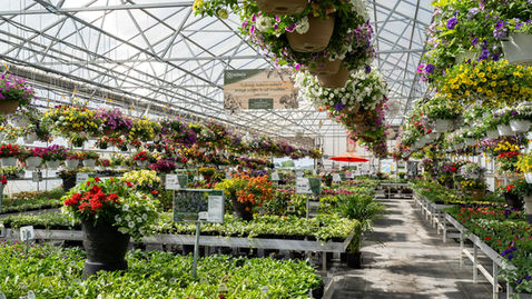 We’re A Longstanding Proven Winners Certified Garden Center