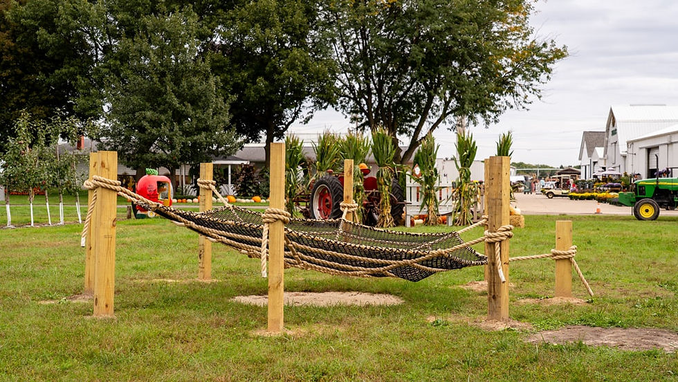 Child riding zip line activity at Selmi's Farm in Rock Falls, IL.