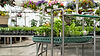 Selmis-Herbs-and-Veggie-Plants-Hero.jpg