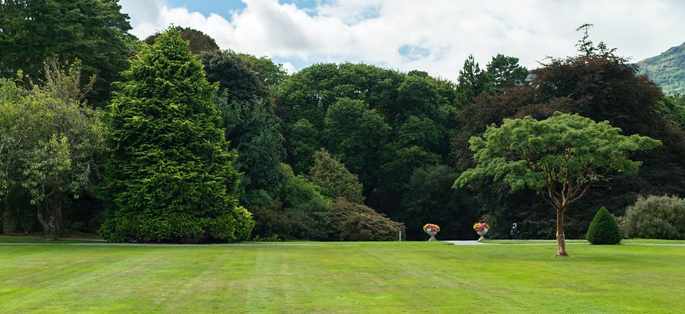 Prestige Lawn and Snow Services Commercial Lawn Mowing