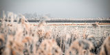 Selmis_Snow-Covered-Farm-Hero_1600_800.jpg