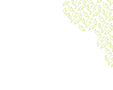 Wrap-Shock-Bolt-Pattern_Green.png