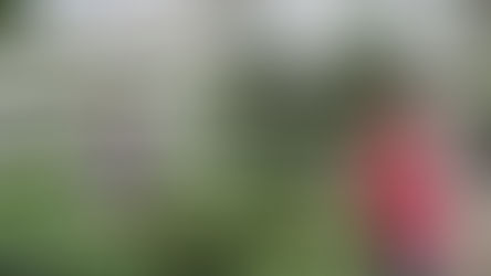 Happy Spring at Selmi's Greenhouse & Garden Center!