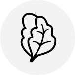 Salads-Icon.png