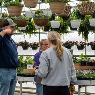 Customers shopping for Proven Winners at Selmi's Greenhouse & Family Farm