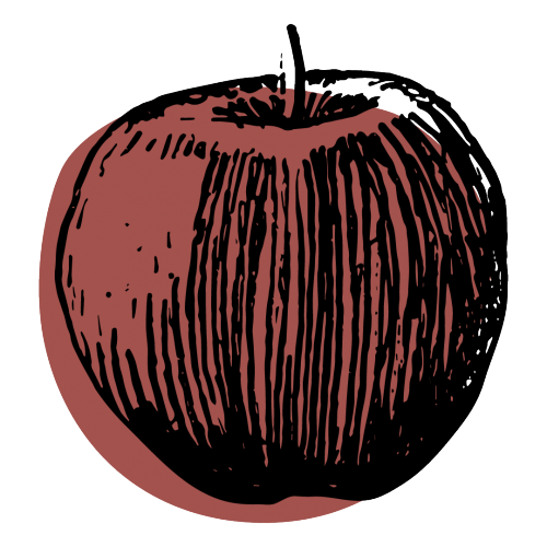 Selmi's hand-drawn apple illustration