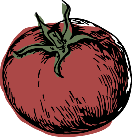 Selmi's hand-drawn farm fresh red tomato