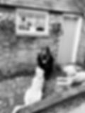 File_000 (12).jpeg