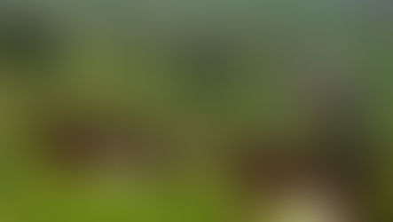 Claves para campañas en zonas rurales