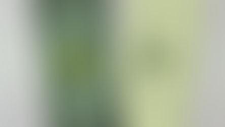 Pistas para saber utilizar una tarjeta personal