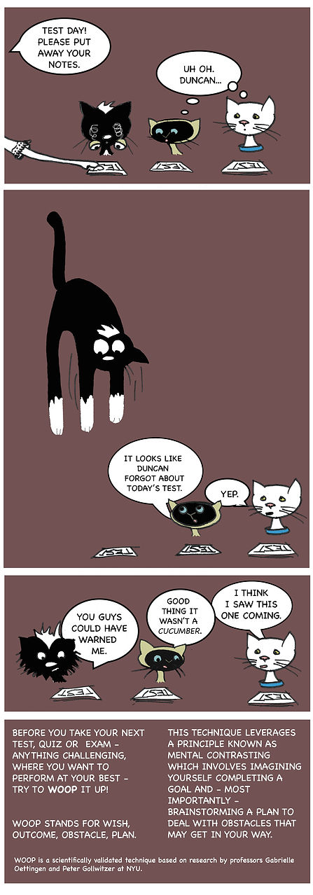 Lucy Test Anxiety 002 color.jpg