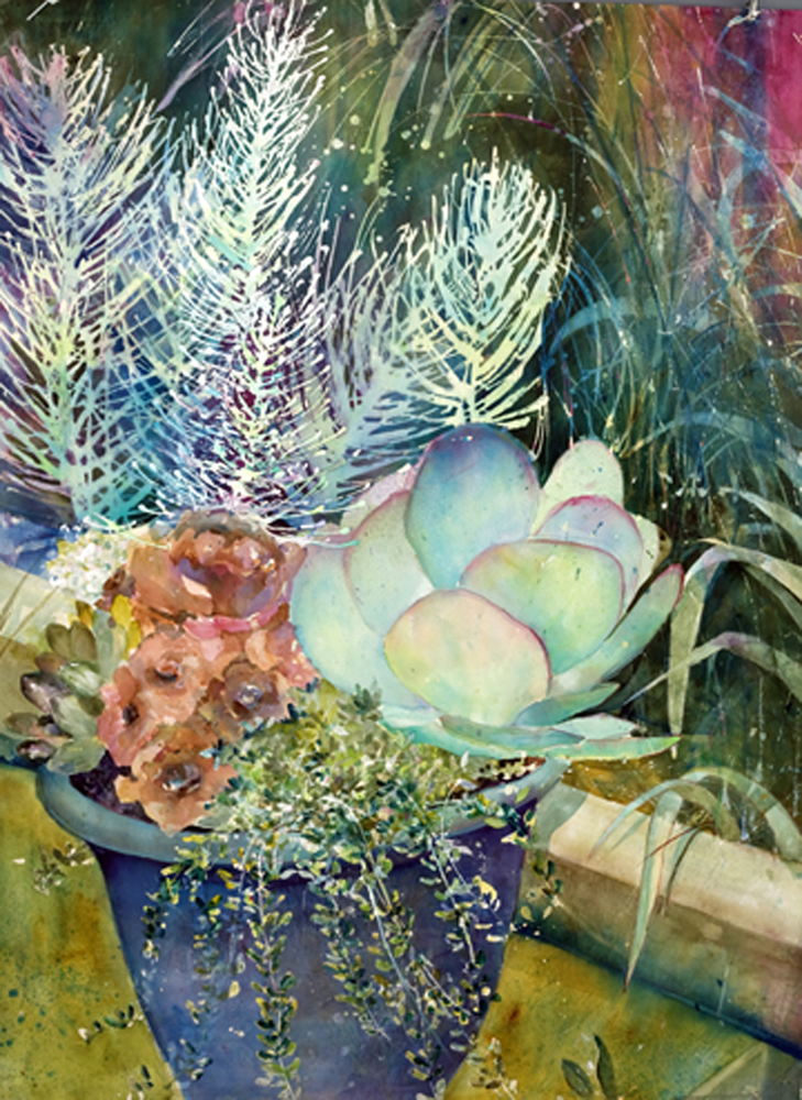 Succulent