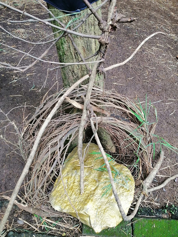 WhatsApp Image 2021-11-28 at 22.54.03.jpeg