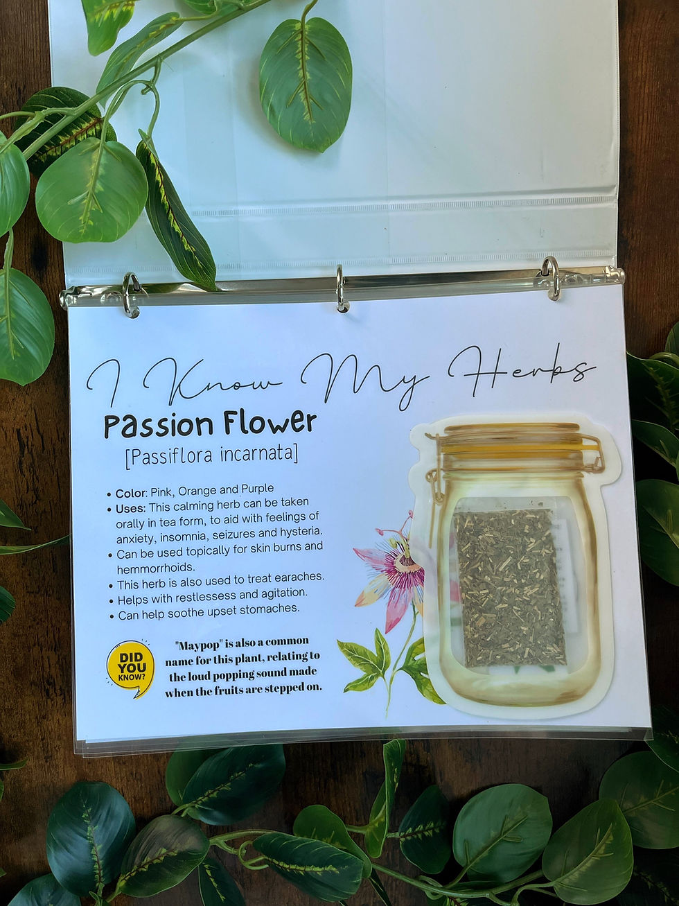 Thumbnail: "I Know My Herbs" Interactive Learning Binder