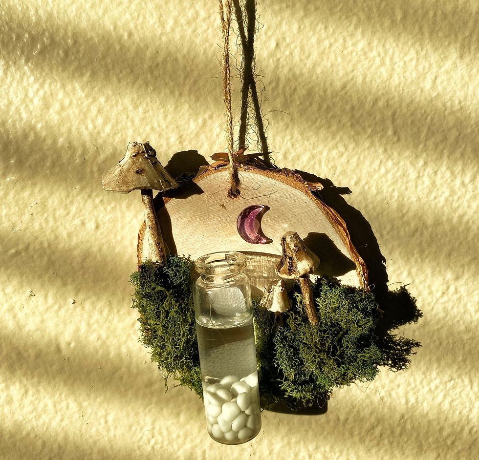 Thumbnail: Propagation Planter Hanger No. 1