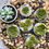 Thumbnail: Green Tea + Hemp Succulent Bath Bomb Melt