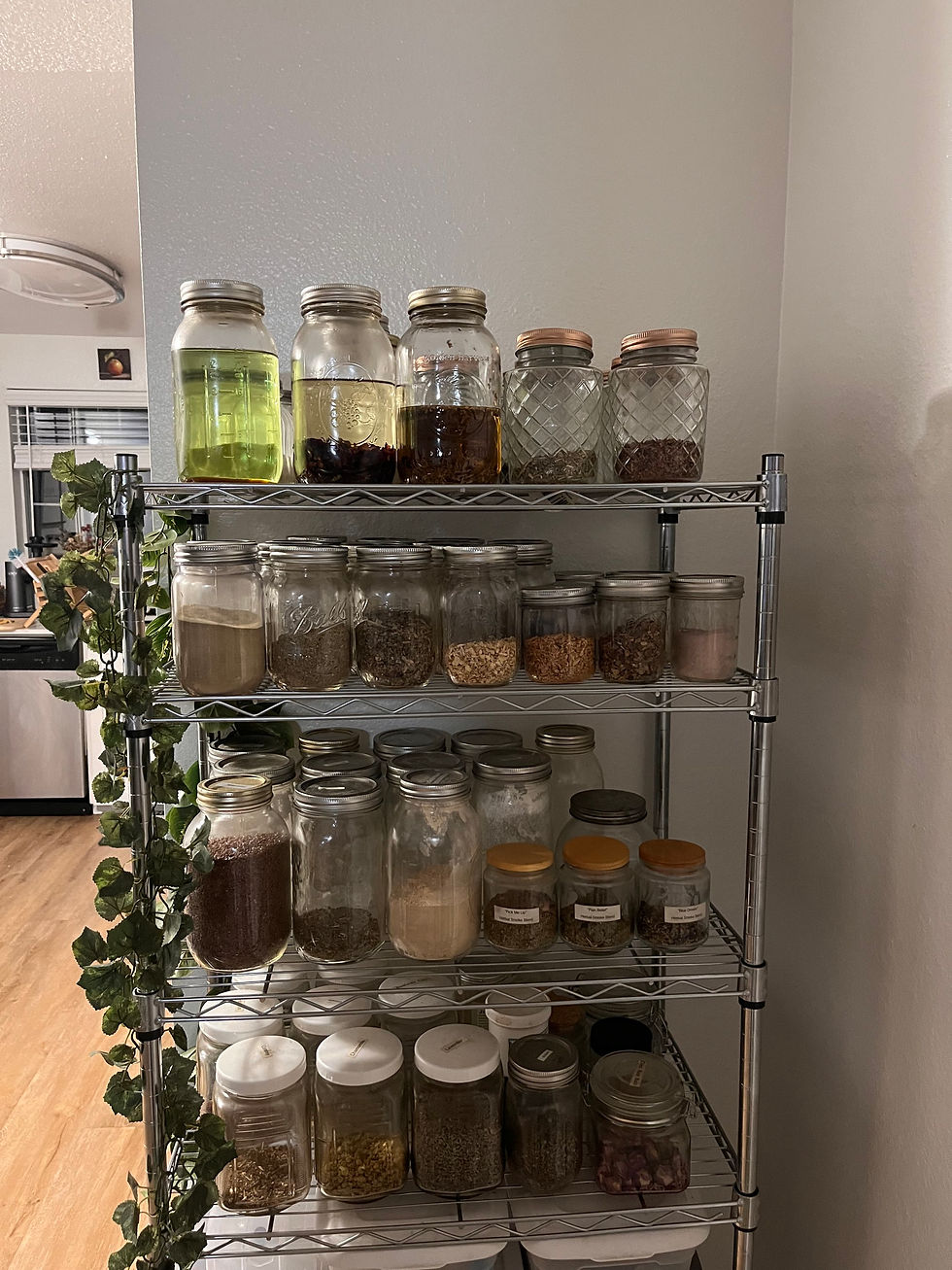 Thumbnail: Building Your Home Apothecary: A Beginner's Guide
