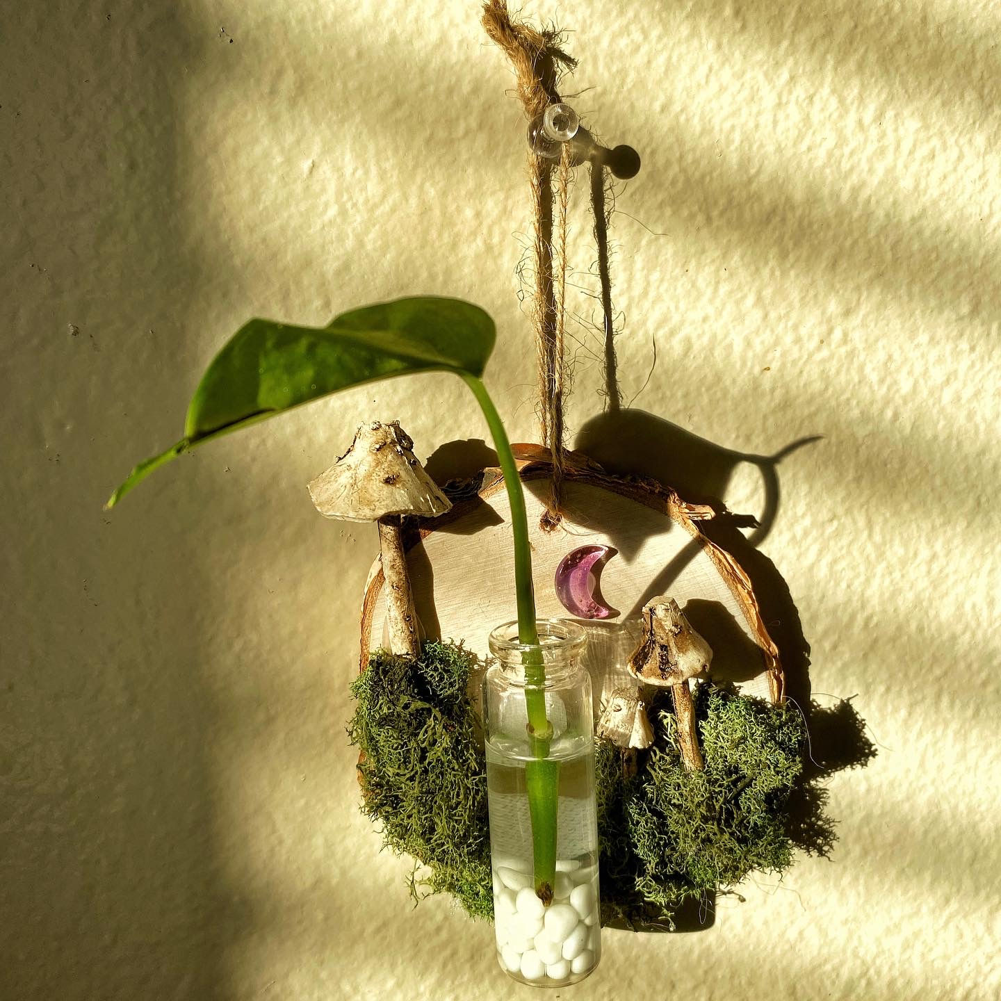 Propagation Planter Hanger No. 1