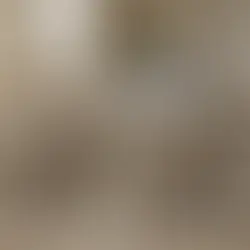 Breaking Barriers: The Uncharted Territory of Disabled Sexuality and Embracing Touch with Enthusiasm