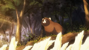 Would you like to be a tanuki? | Estúdio de Kingdom anuncia anime sobre guaxinis místicos e humanos