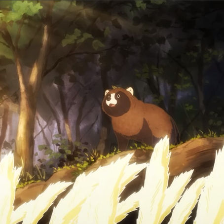 Would you like to be a tanuki? | Estúdio de Kingdom anuncia anime sobre guaxinis místicos e humanos