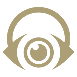 DH_Headphones_300x300.png