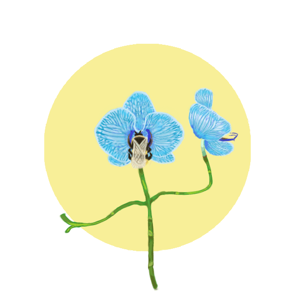 Bee-Sticker_Sticker-Project