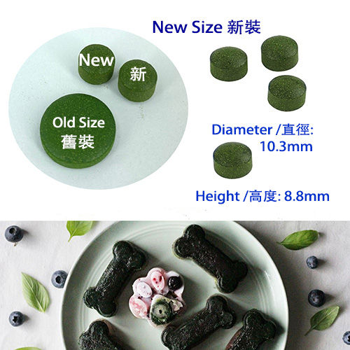 縮圖：寵物小球藻