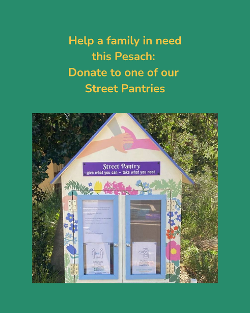 _Mazon -Pesach Appeal 5786 (700 x 875 px) (1).png