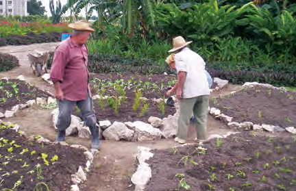 Permaculture in Ecuador