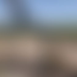 Escavadeira Long Reach (longo alcance)Quando Usar, Como Dimensionar e Vantagens Operacionais