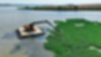 Remoção De Plantas Aquáticas, taboa, Braquiária, alface dágua, aguapé
