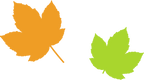 Simple Maple Leaves 