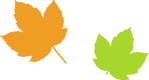 Simple Maple Leaves 