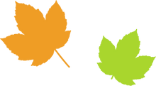 Simple Maple Leaves