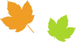Simple Maple Leaves