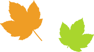 Simple Maple Leaves 