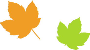 Simple Maple Leaves 