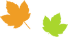 Simple Maple Leaves