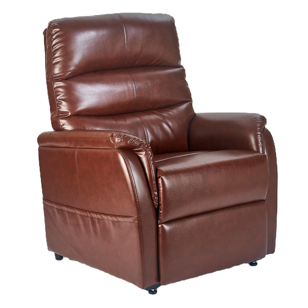 Power Lift Recliners